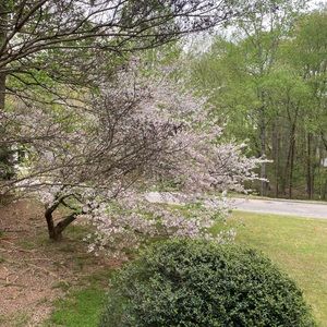 Meet your Posher, Tai